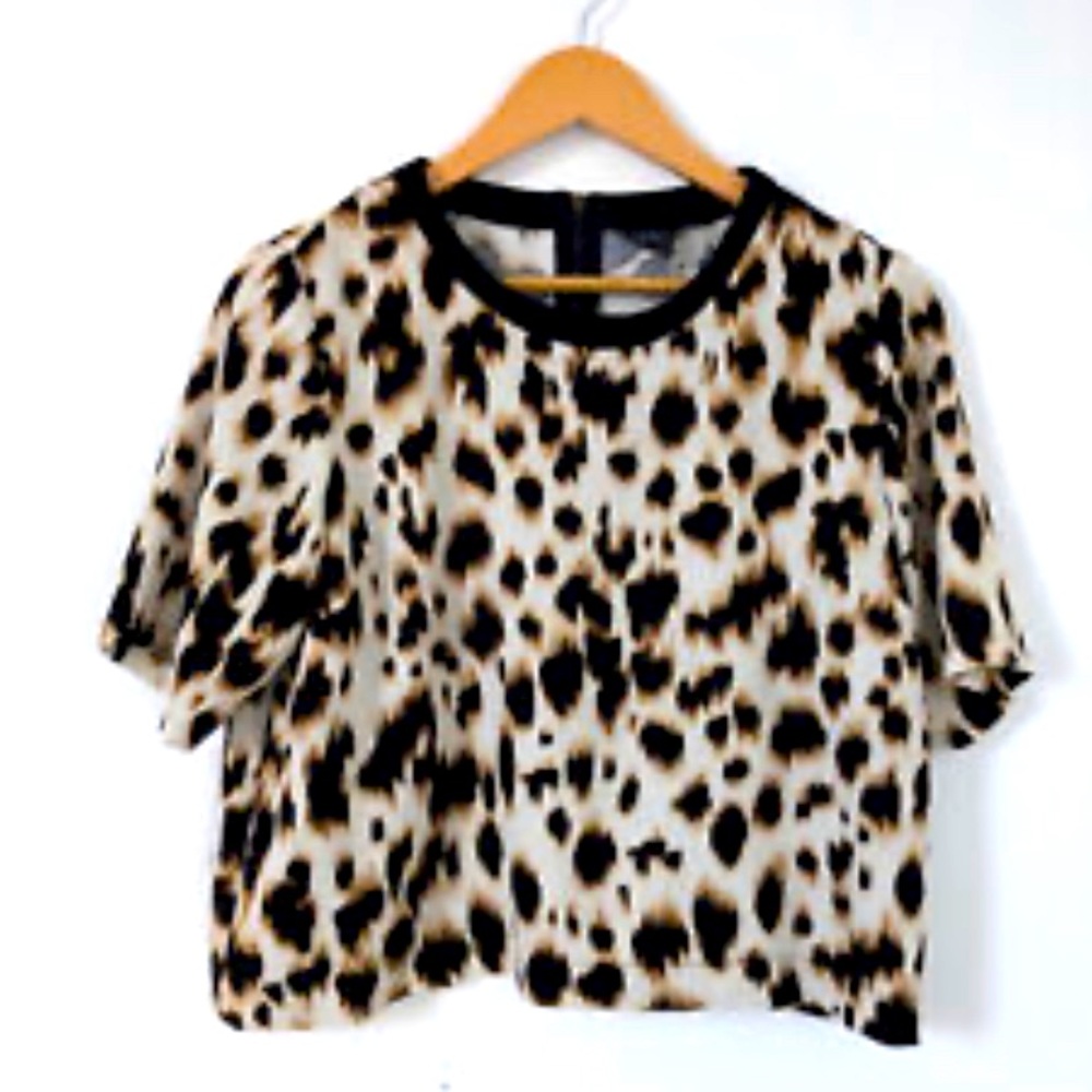 TOPSHOP CROP